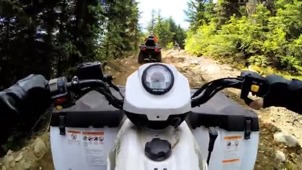 Conducir fuera de carretera Quad bicicleta en el bosque — Vídeo de stock