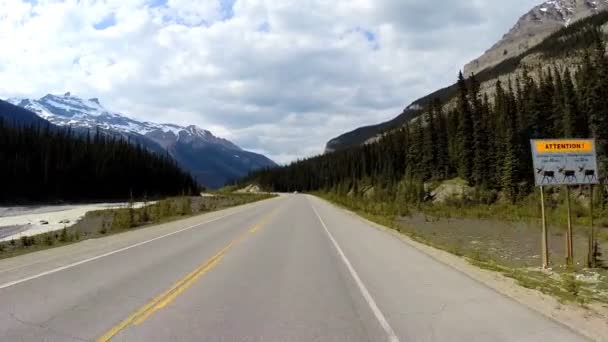 Road Trip op Highway 93 Canada Parkway — Stockvideo