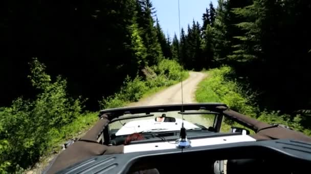 Jeep conducir a través de bosque de montaña — Vídeos de Stock