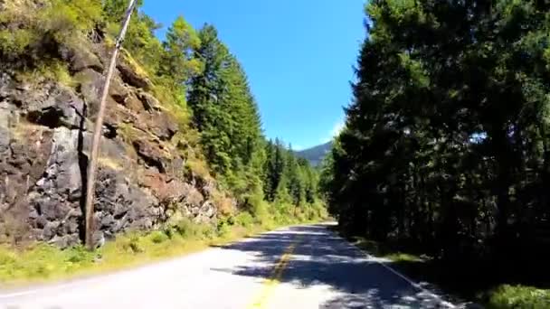 Дорожное путешествие через горный лес — стоковое видео