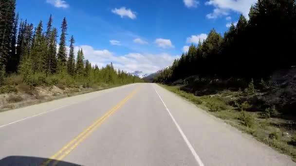 Viagem rodoviária na rodovia 93 Canada Parkway — Vídeo de Stock