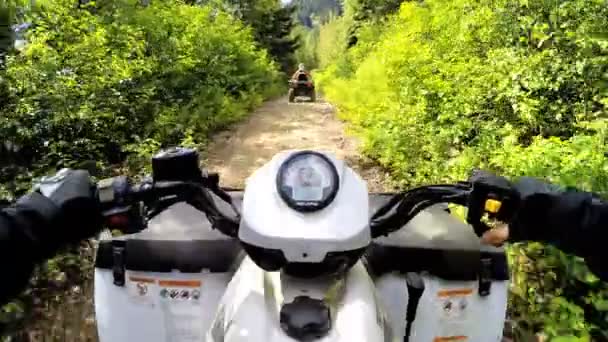 Conducir fuera de carretera Quad bicicleta en el bosque — Vídeo de stock