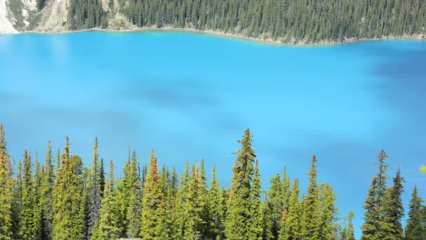 Parkway Canada blue refraction color lake water — Stock Video