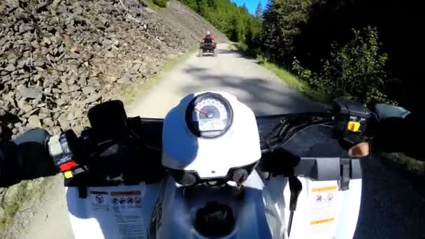 Conducir fuera de carretera Quad bicicleta en el bosque — Vídeos de Stock