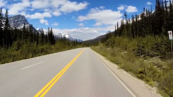 Road trip on highway 93 Canada Parkway — Stock Video