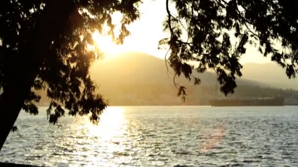 Sunset Vancouver Harbor Waterfront — Stockvideo