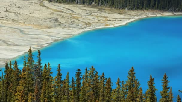 Scenic krajobraz Icefields Parkway Kanada — Wideo stockowe