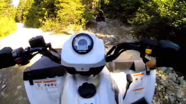 Jazdy off road Quad rower w lesie — Wideo stockowe