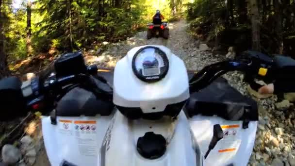 Driving off road Quad bike in forest — Stock Video
