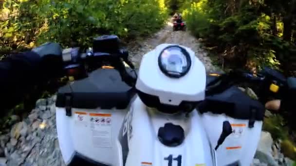 Conducir fuera de carretera Quad bicicleta en el bosque — Vídeo de stock