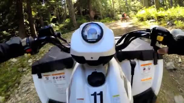 Съезд с дороги Quad велосипед в лесу — стоковое видео