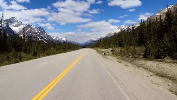 Road trip on highway 93 Canada Parkway — Stock Video