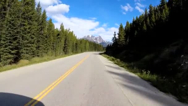 Road trip on highway 93 Canada Parkway — Stock Video