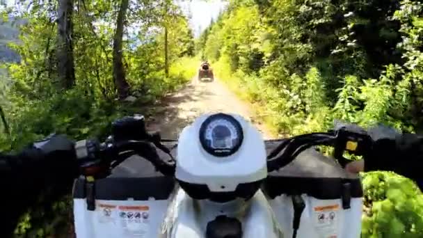 フォレスト内の道路クワッド バイクを運転 — ストック動画