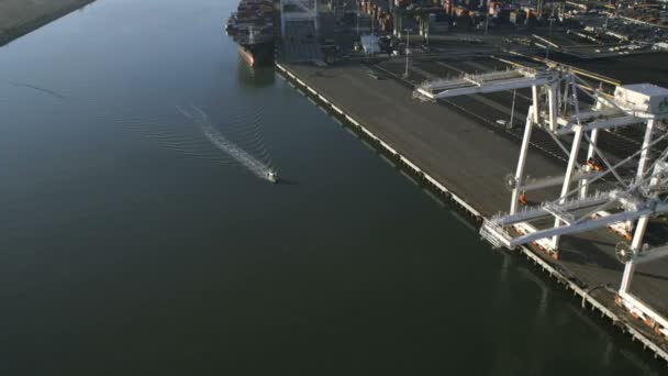 Dockar Oakland Port San Francisco — Stockvideo