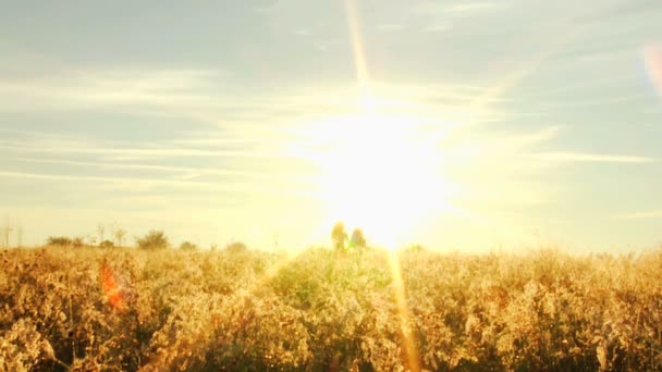 Two girls playing fun in meadow — Stock Video