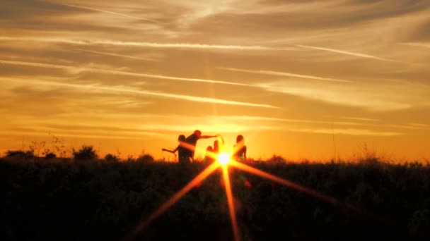 Eltern mit Töchtern haben Spaß auf der Wiese — Stockvideo