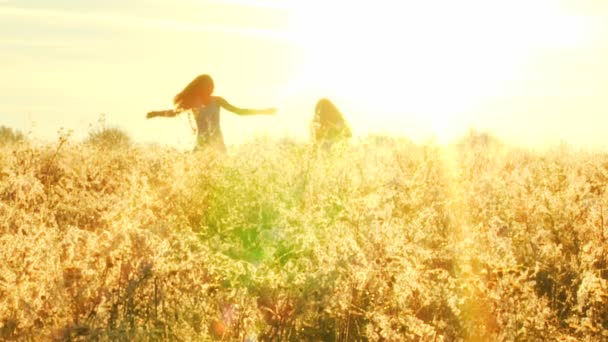 Deux filles jouer amusant dans prairie — Video