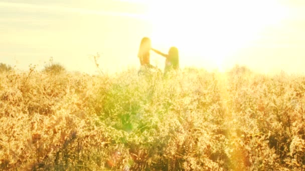 Two girls playing fun in meadow — Stock Video