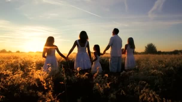 Parents with daughters having fun on meadow — Stock Video