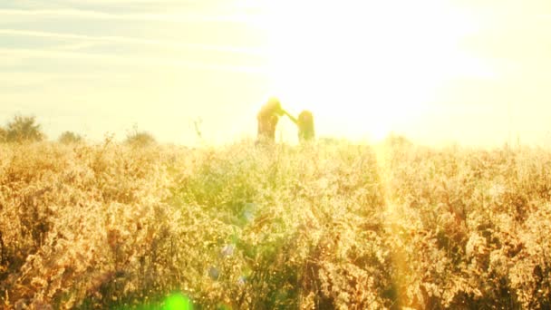 Two girls playing fun in meadow — Stock Video