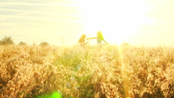 Deux filles jouer amusant dans prairie — Video