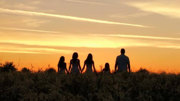 Parents with daughters having fun on meadow — Stock Video