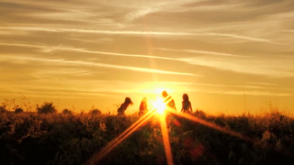 Parents with daughters having fun on meadow — Stock Video