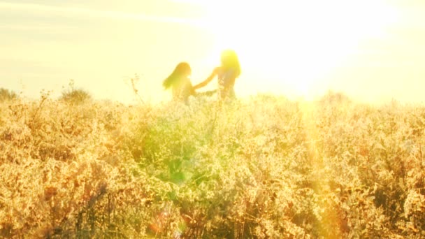 Two girls playing fun in meadow — Stock Video