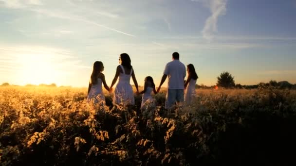 Parents with daughters having fun on meadow — Stock Video