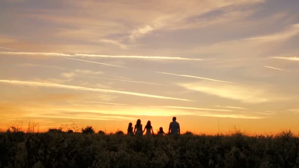 Ouders met dochters plezier op weide — Stockvideo