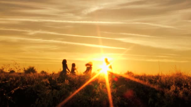 Parents with daughters having fun on meadow — Stock Video