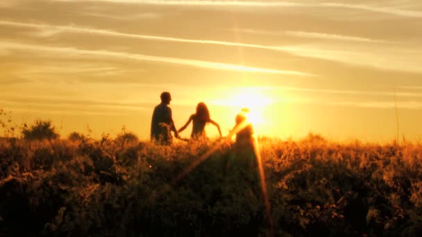 Родители с дочерьми веселятся на лугу — стоковое видео