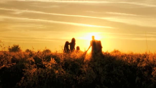 Parents with daughters having fun on meadow — Stock Video