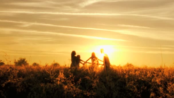 Parents with daughters having fun on meadow — Stock Video