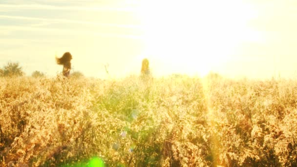 Meninas se divertindo ao ar livre no campo — Vídeo de Stock