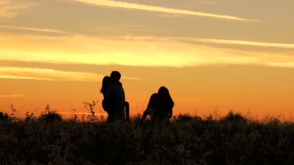 Parents avec filles s'amuser sur prairie — Video