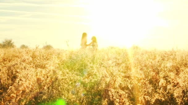 Dos chicas jugando divertido en prado — Vídeos de Stock