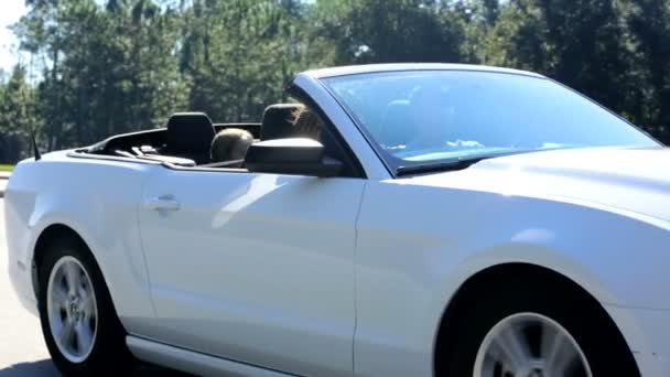 Family going on vacation in cabriolet car — Stock Video