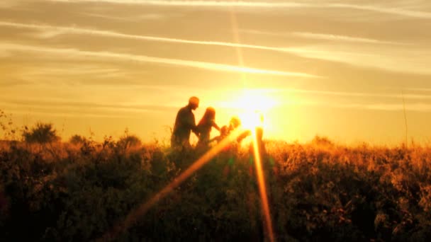 Parents with daughters having fun on meadow — Stock Video