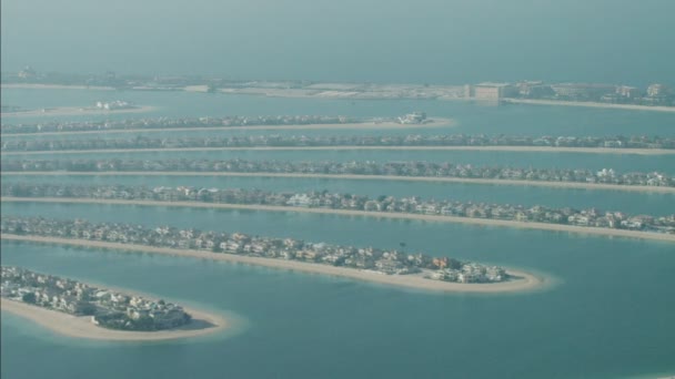 Hojas de Palm Jumeirah Island de Dubai — Vídeos de Stock