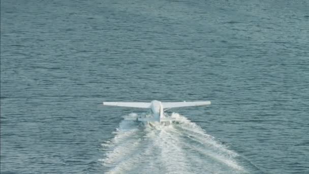 Seaplane движется по воде в Дубайском ручье — стоковое видео