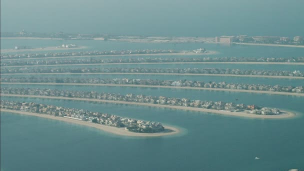 Dubai Palm Jumeirah Adası yaprakları — Stok video