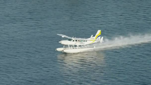 Самолет Seaplane взлетел с Дубайского ручья — стоковое видео