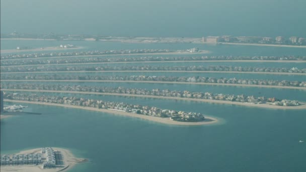 Hojas de Palm Jumeirah Island de Dubai — Vídeo de stock