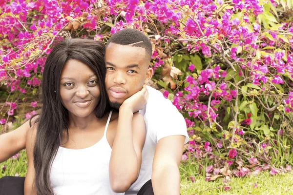 Αγαπώντας την αφρικανική αμερικανική ζευγάρι στο πάρκο Εικόνα Αρχείου