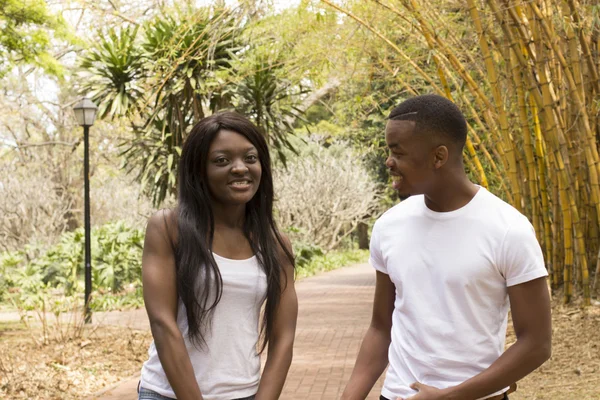 Kochający African American para w parku Obrazy Stockowe bez tantiem