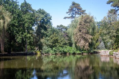 Berrak mavi gökyüzünün altındaki yemyeşil ağaçları yansıtan sakin bir göl içeren huzurlu bir yaz manzarası..