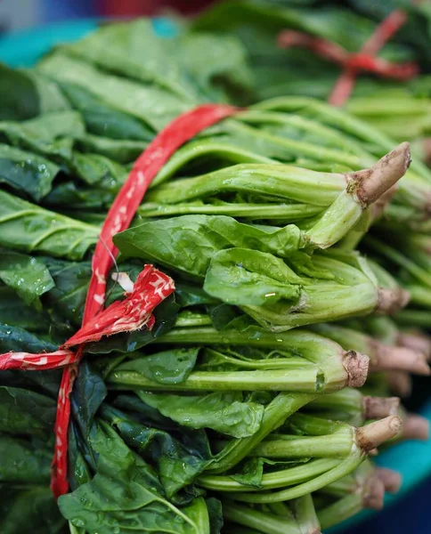 Espinacas Vegetales Orgánicas Frescas Coreanas —  Fotos de Stock
