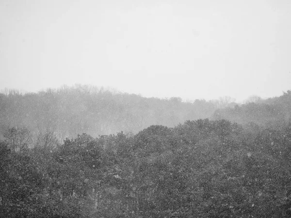Snowy Zimowy Krajobraz Górski Korei Monochromatyczne Zdjęcia — Zdjęcie stockowe